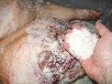 salting